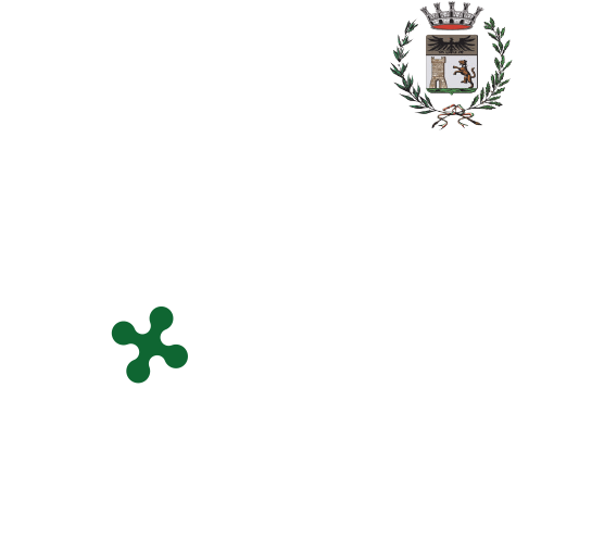 International Piano and Orchestra Competition 